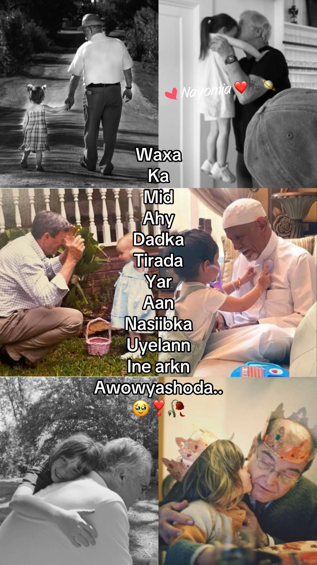 @➰ᑎᗩYOᗰIᗩ🐾🪻