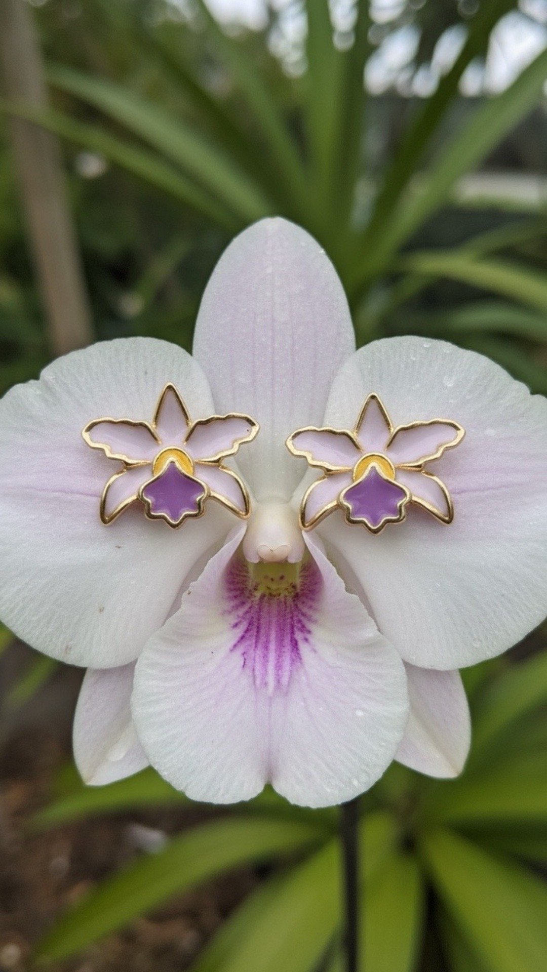 @Orchidique