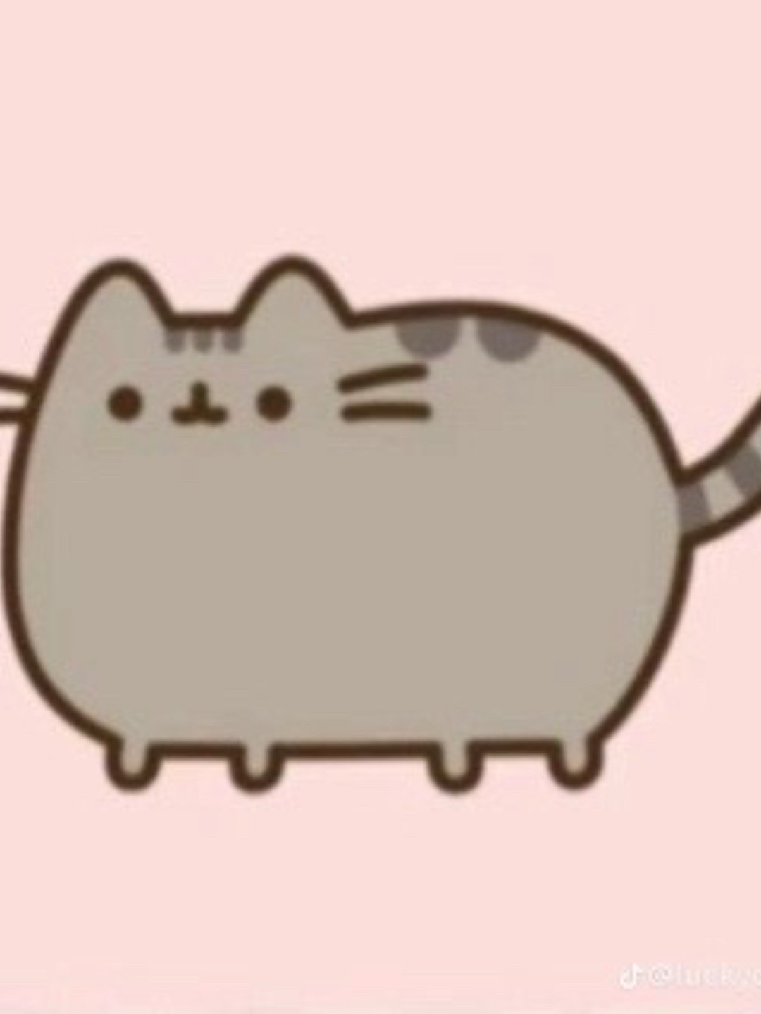 @meowlizious 🐾