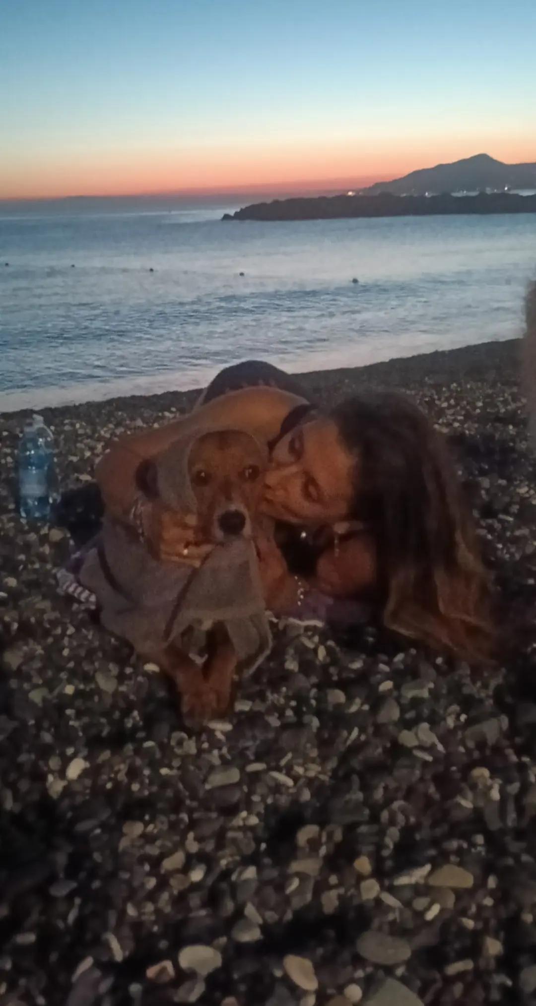 @soniacereghino7