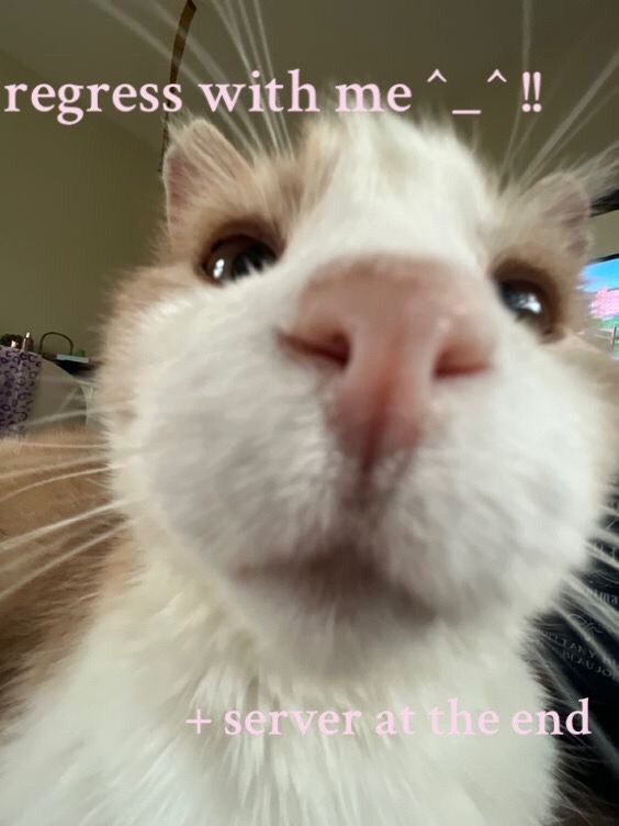 @🐾🫧