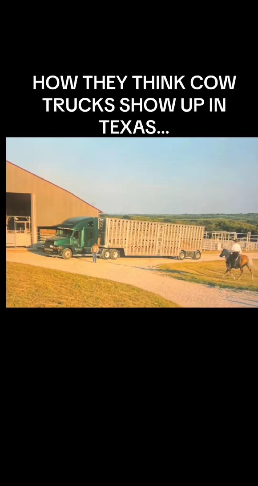 @Travis