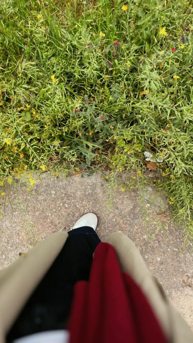 @𝘚𝘢🐾