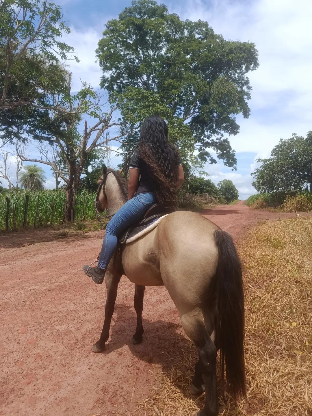 @Barbalho