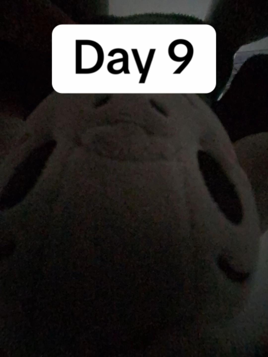 @Ralsei plush owner 25