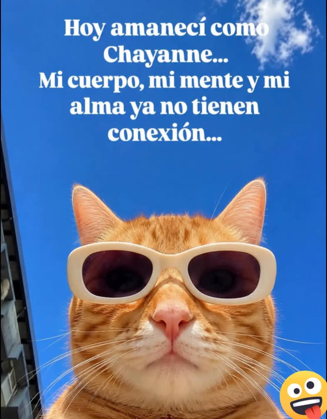 @Brenda marchan