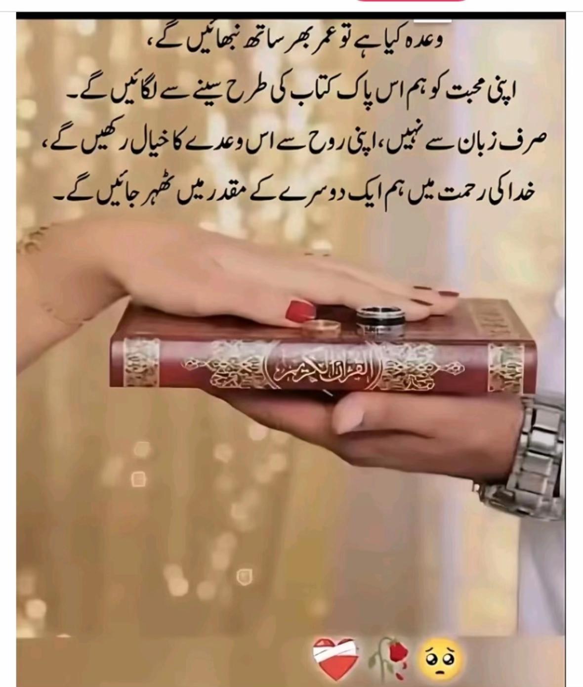 @معصوم پرندہ ظالم شکاری🦜🐦🥷