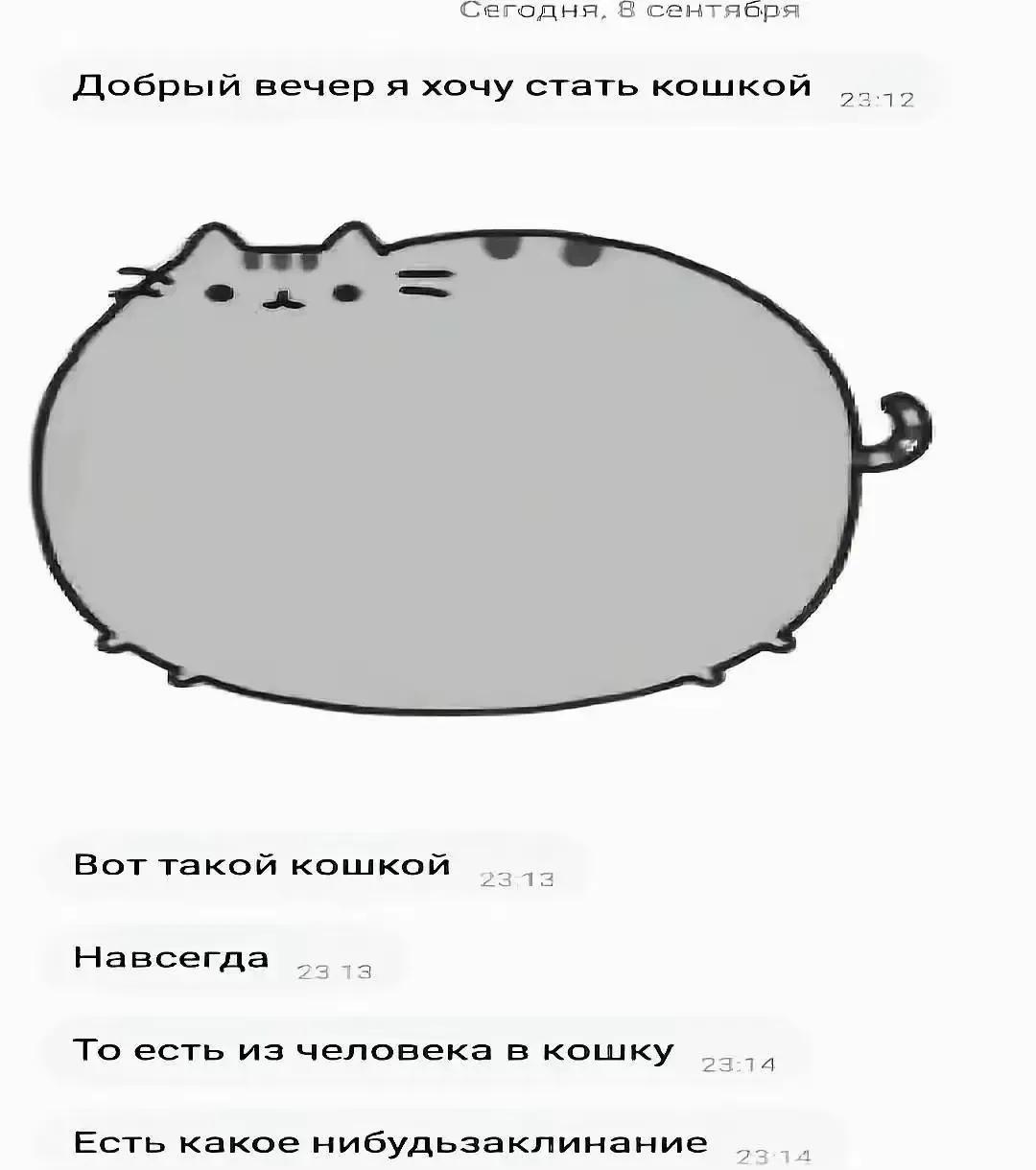 @/home/mtux