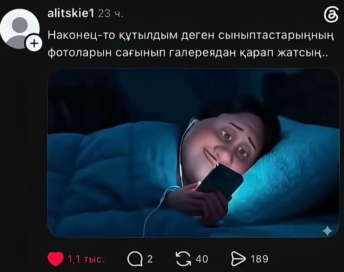 @moldir