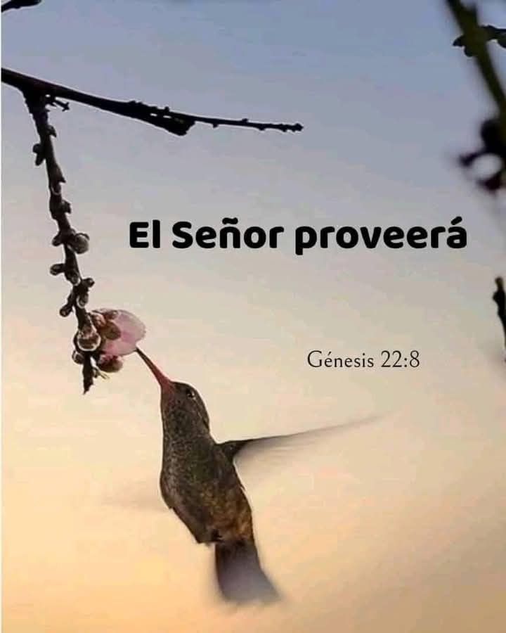 @Ingrid Moreno