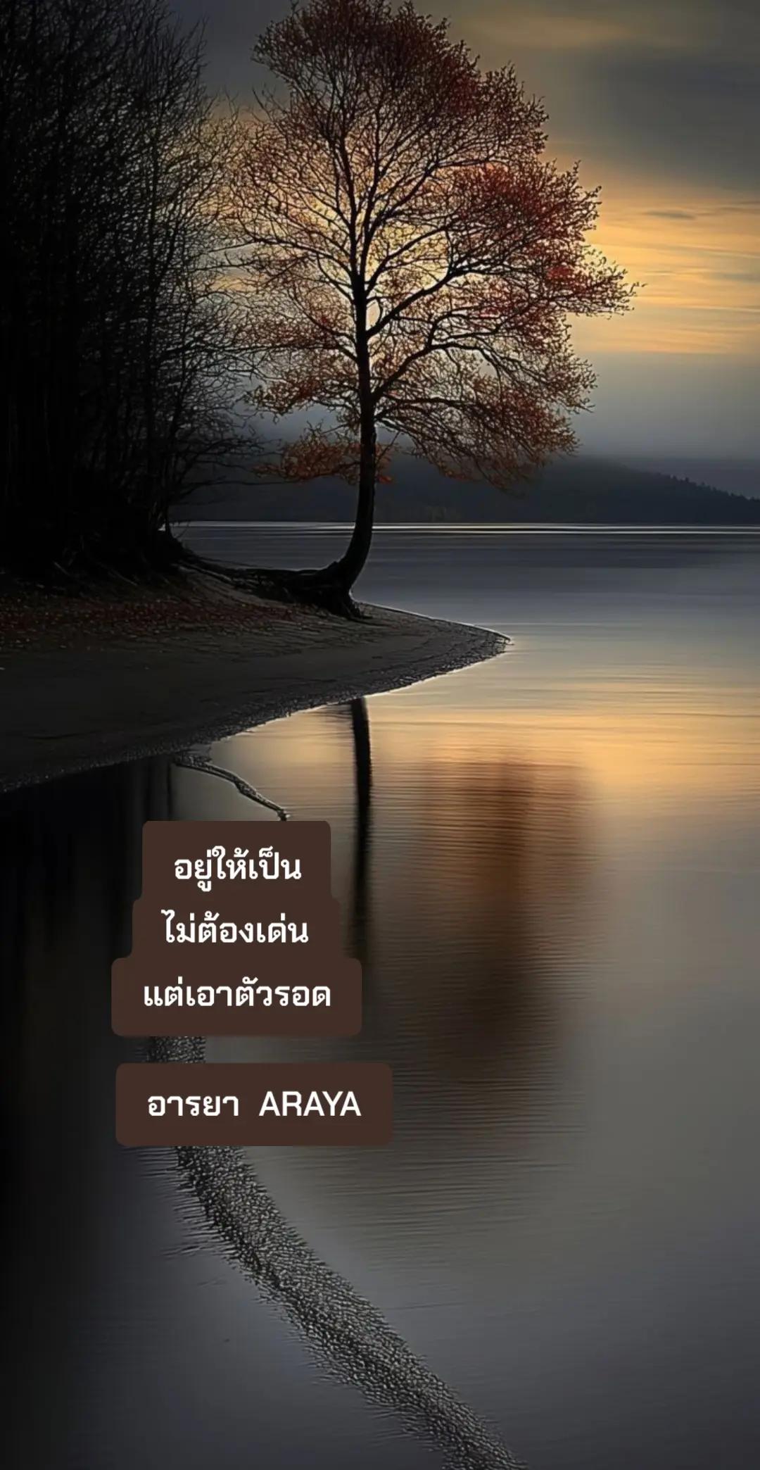 @อารยา araya