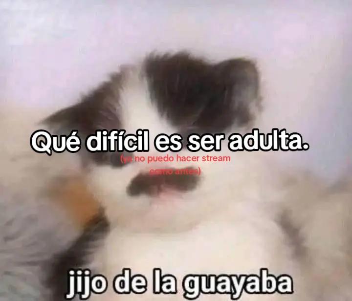 @Momo