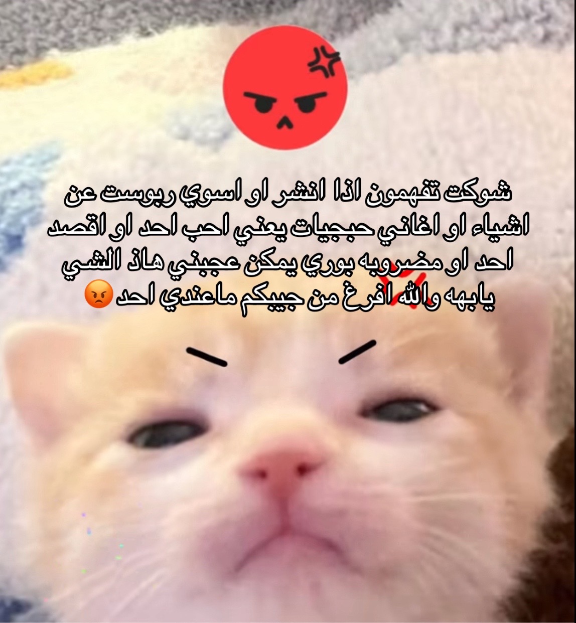 @•