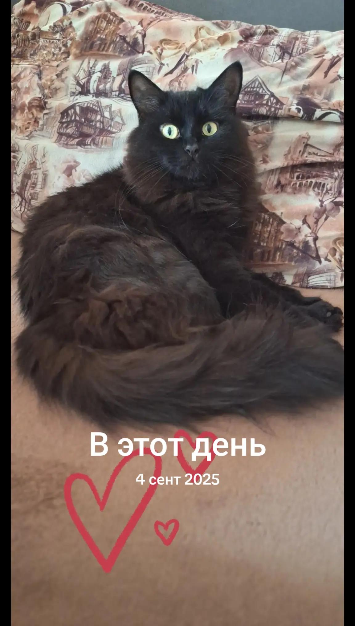 @Инесса