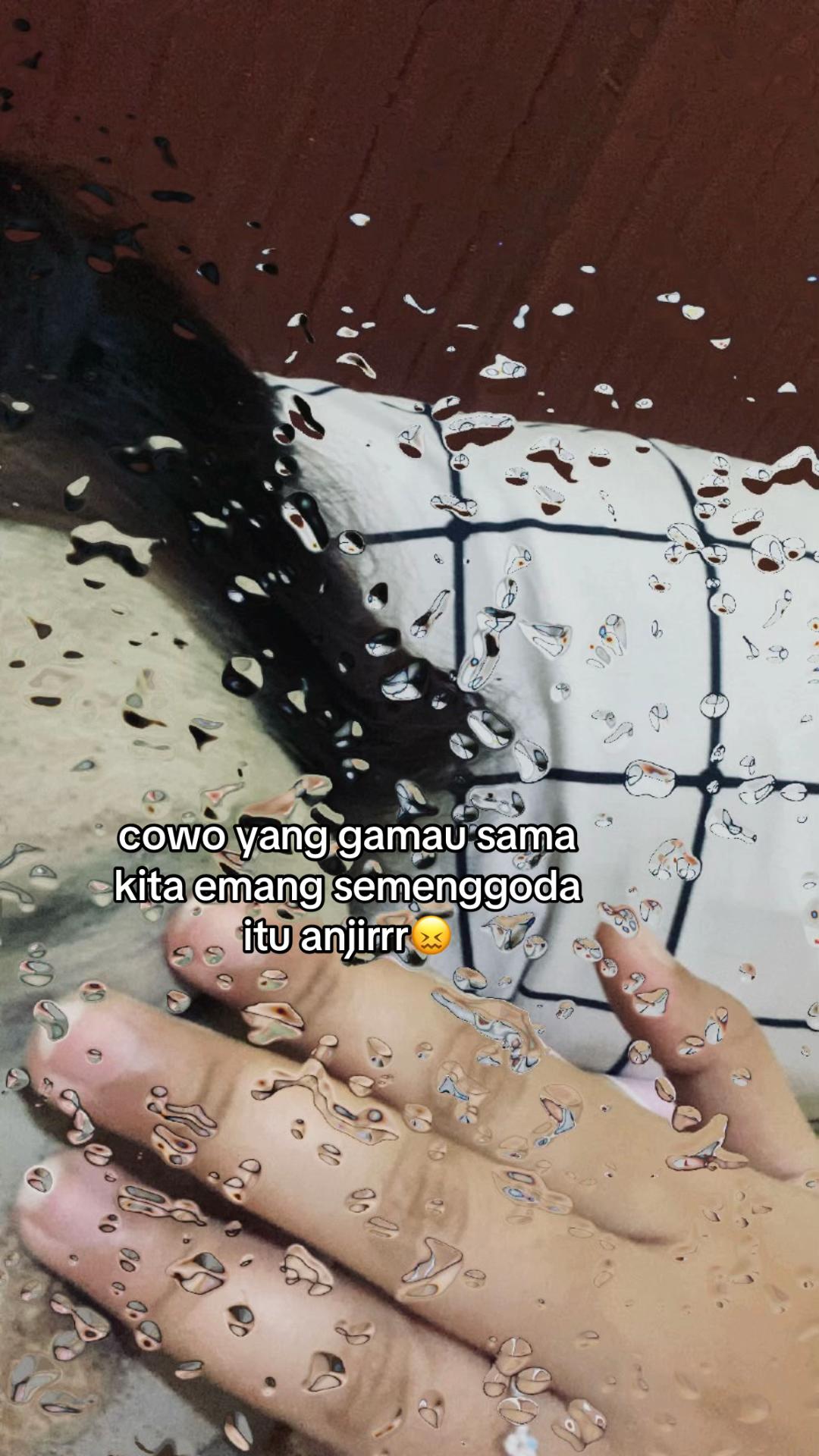 @ꪶ ꪮ ρ ρ ꪗ