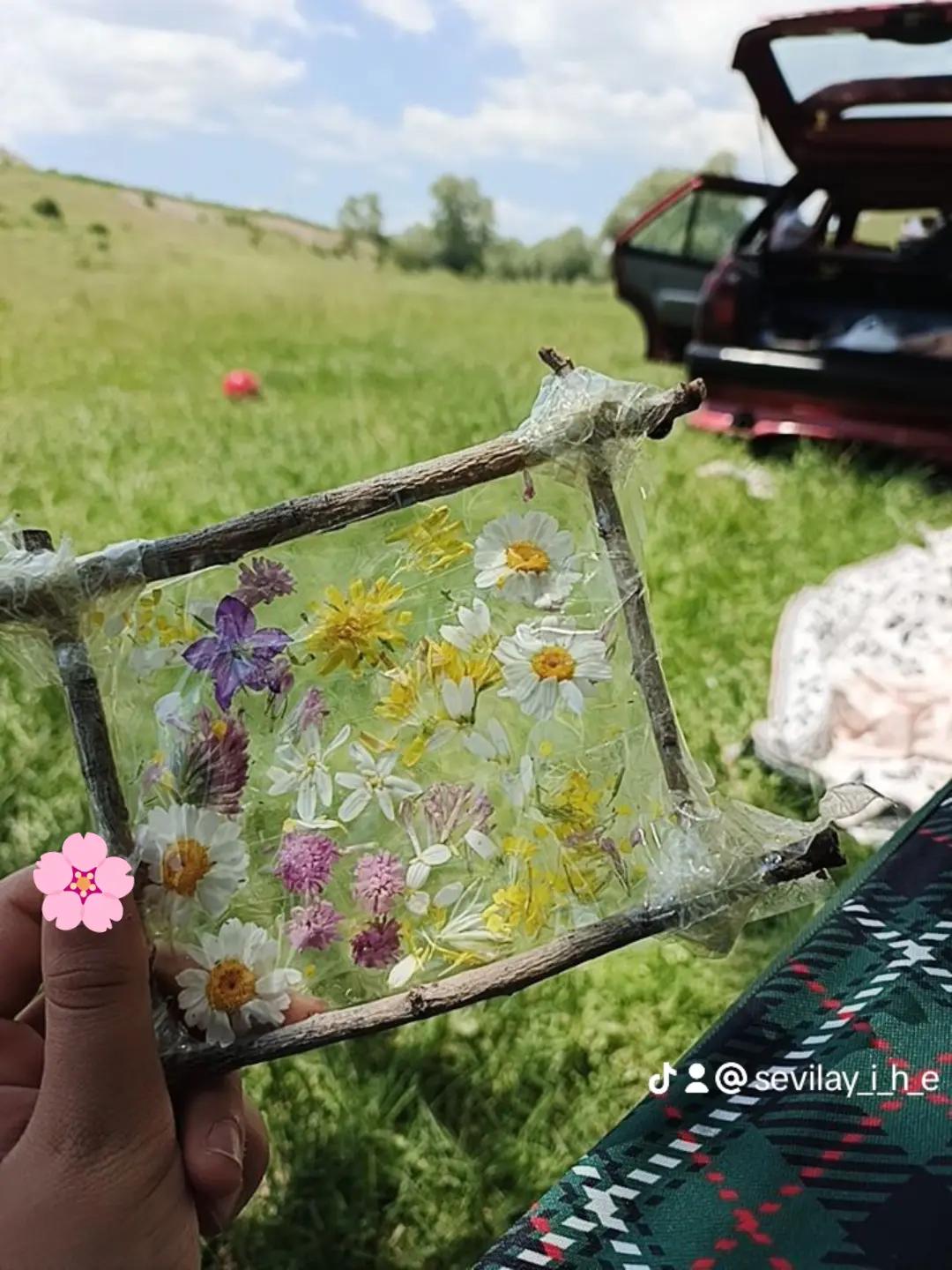 @sevilay_i_h_e