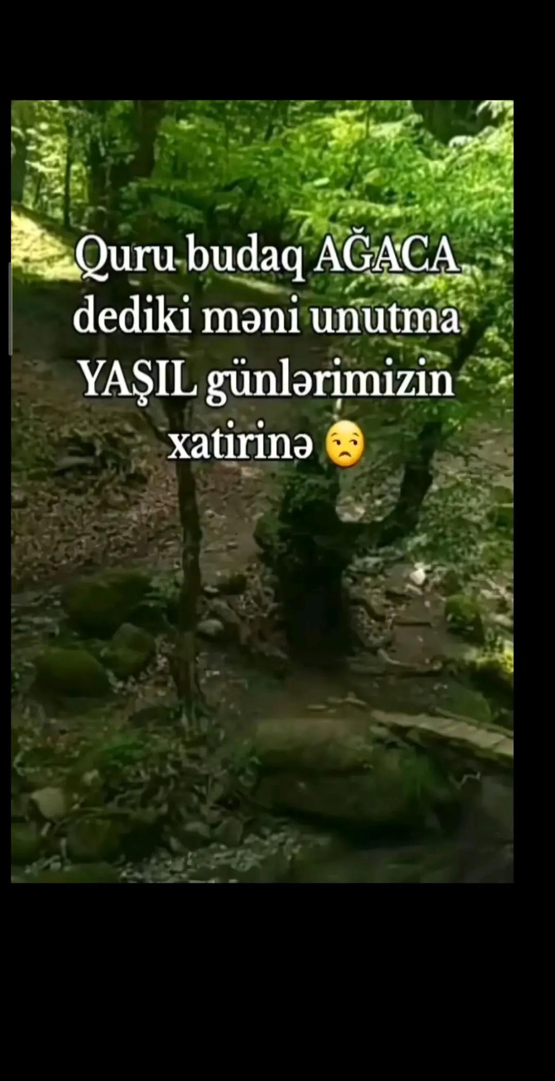 @tural.davutlu.official