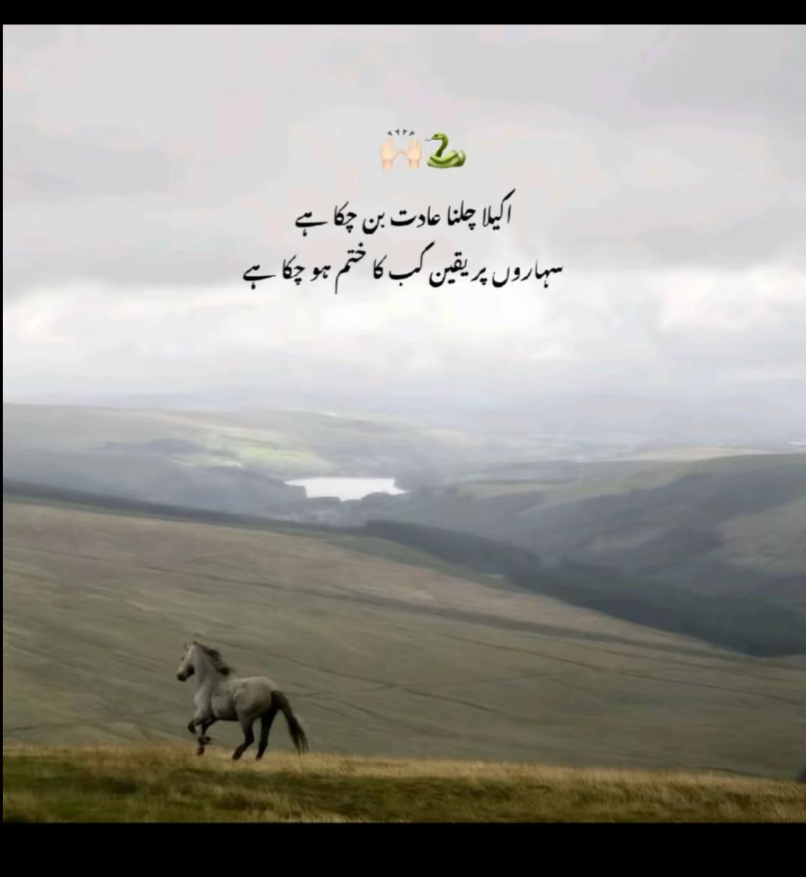 @thefarooqaslam