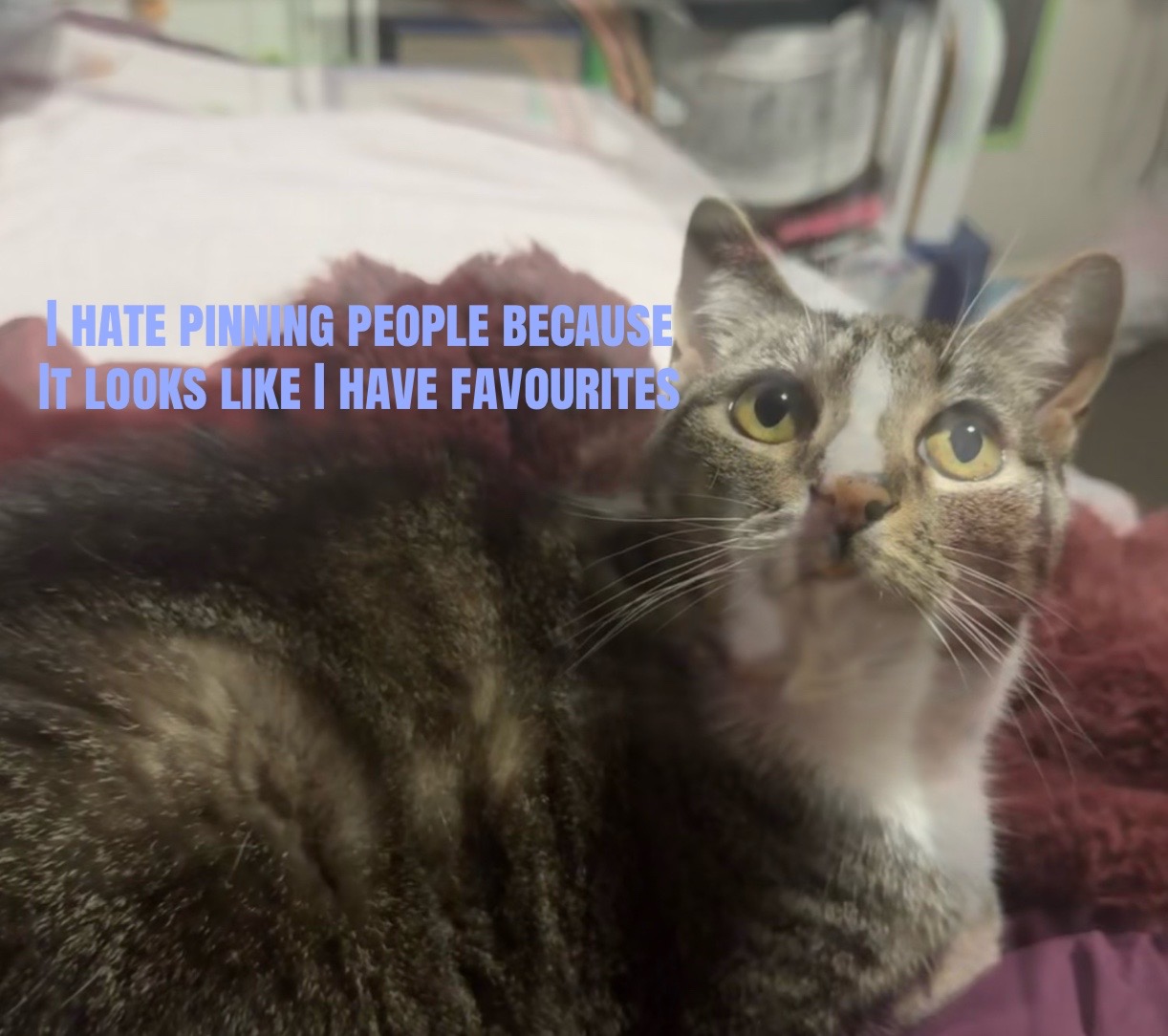 @˚꩜｡ₗₑₐ ˚꩜｡