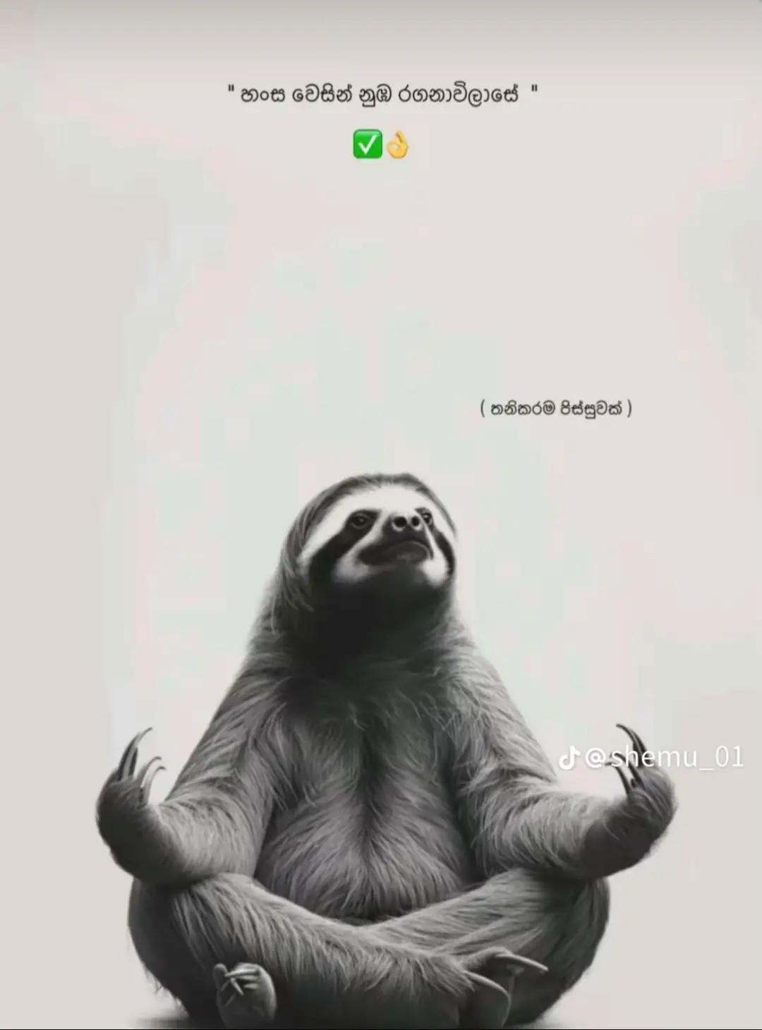 @DAYA⁴⁵_⁴⁶⚡