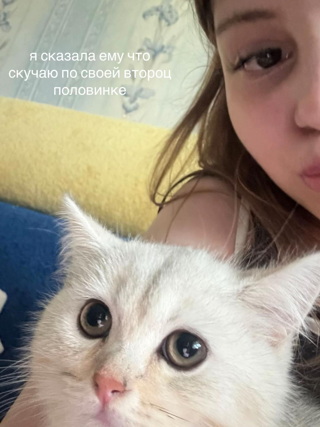 @ангелиша майотова
