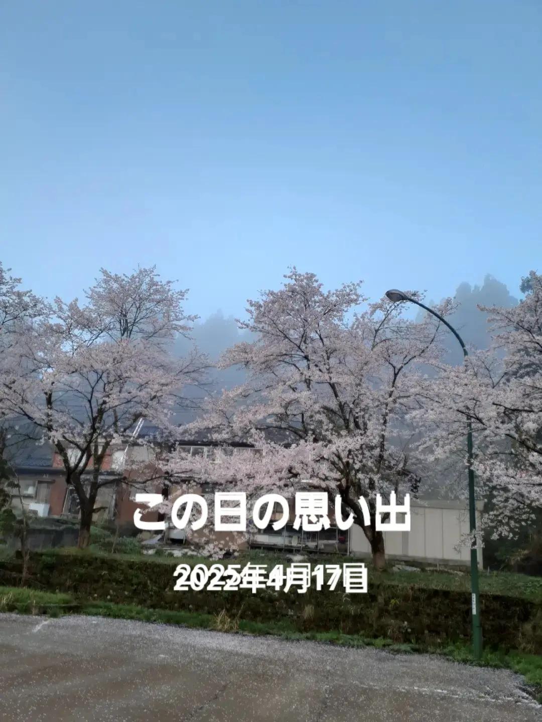 @ターボー