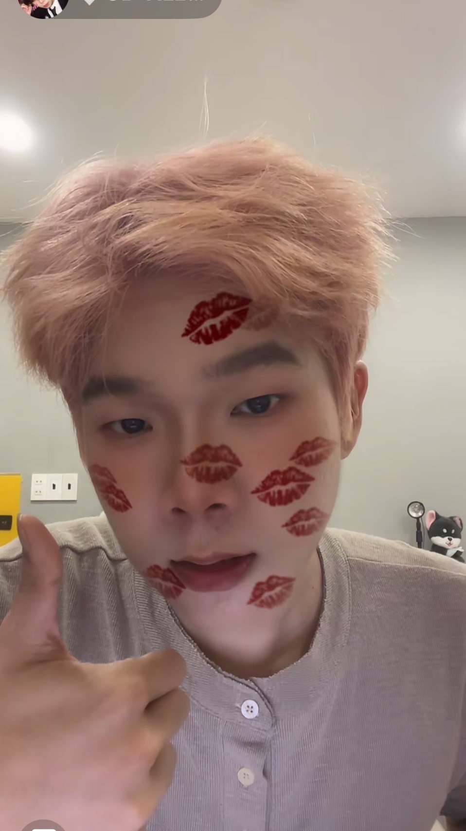 @๐ Hazel ๐ค๐๐ค๐๐๐๐งก๐ฉต