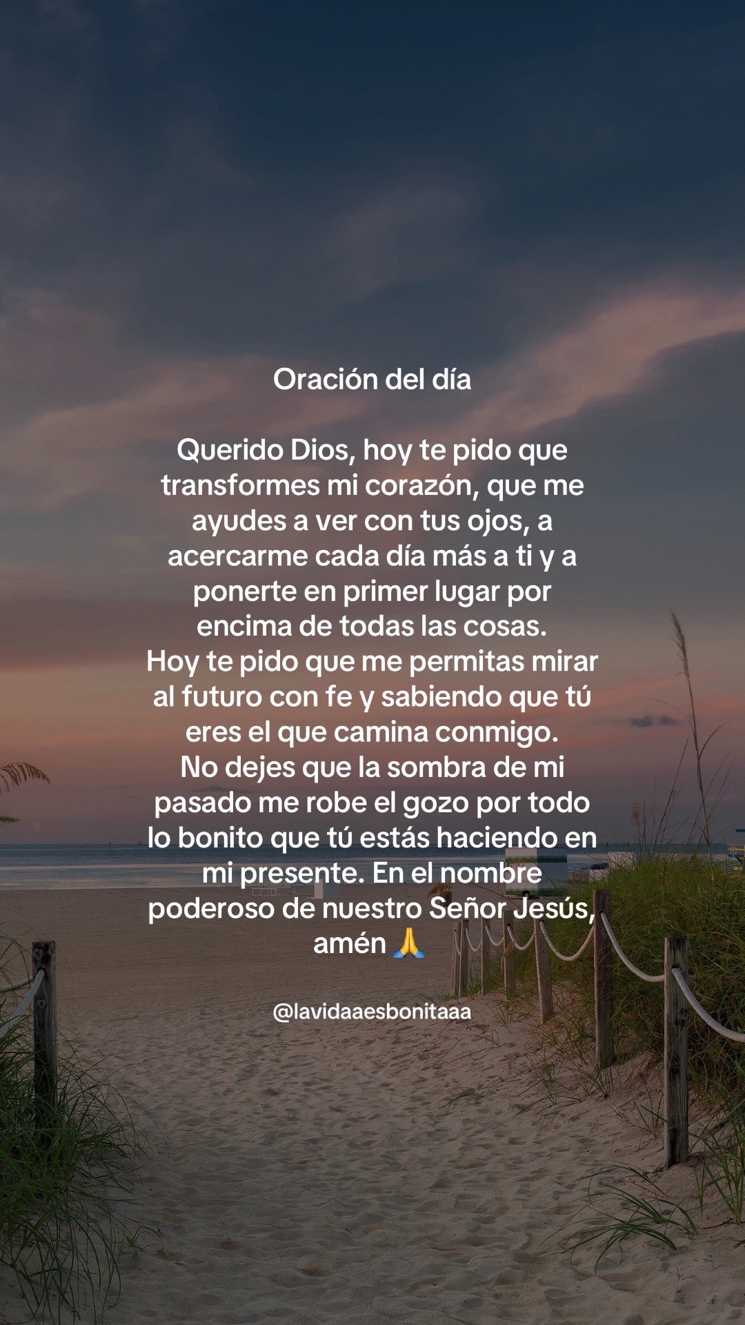 @vidabonita❤️&zwj;🩹