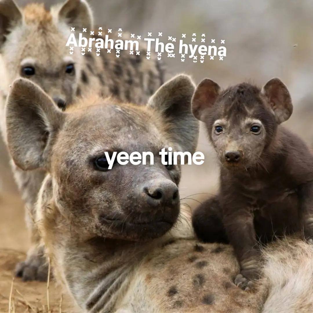 @AbrahamTheHyena✝️
