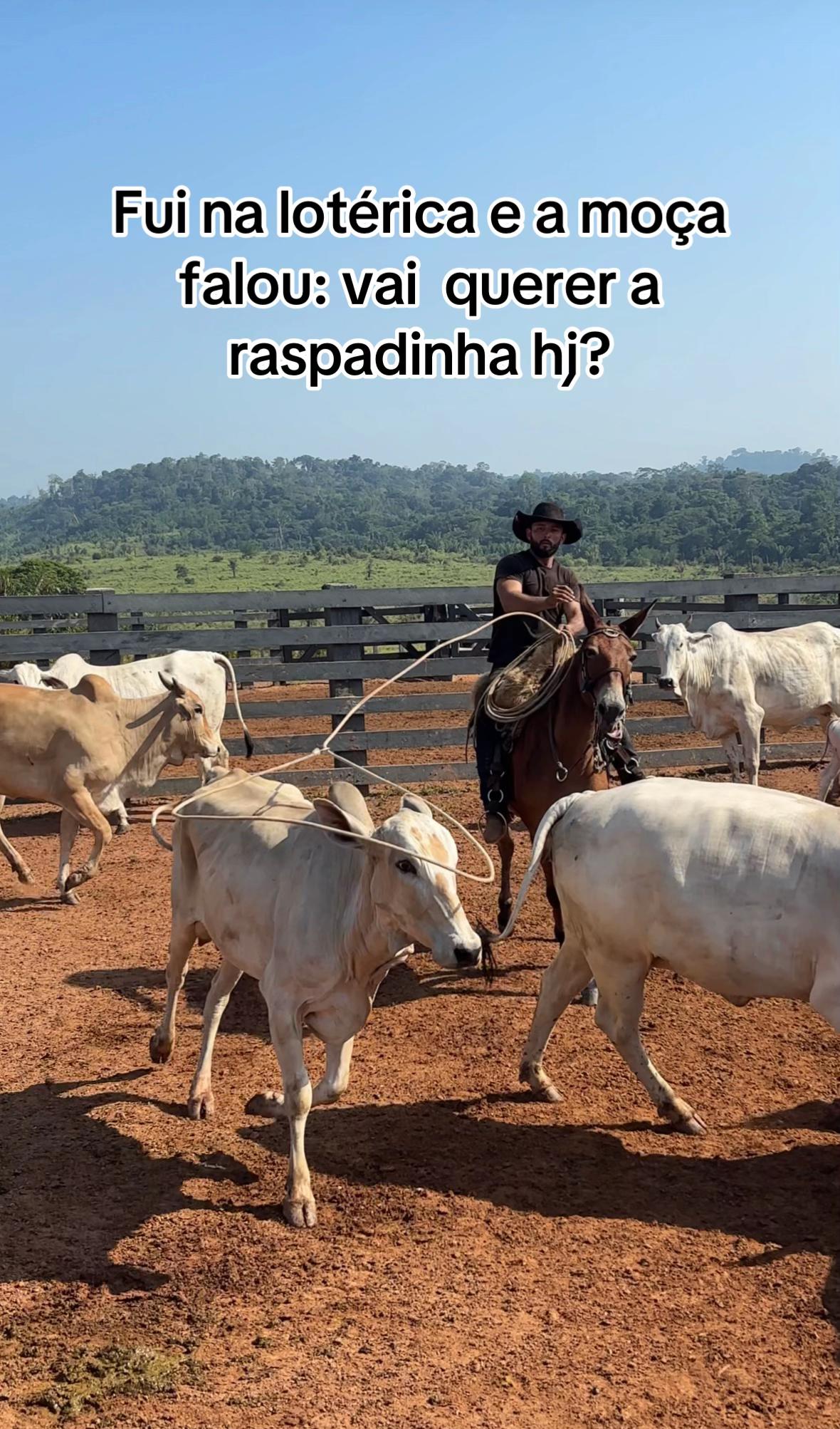 @vaqueirolendario