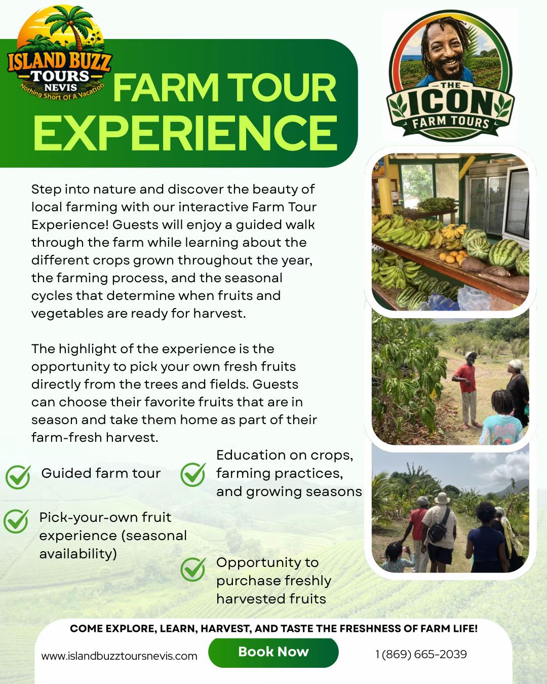 @Island Buzz Tours Nevis