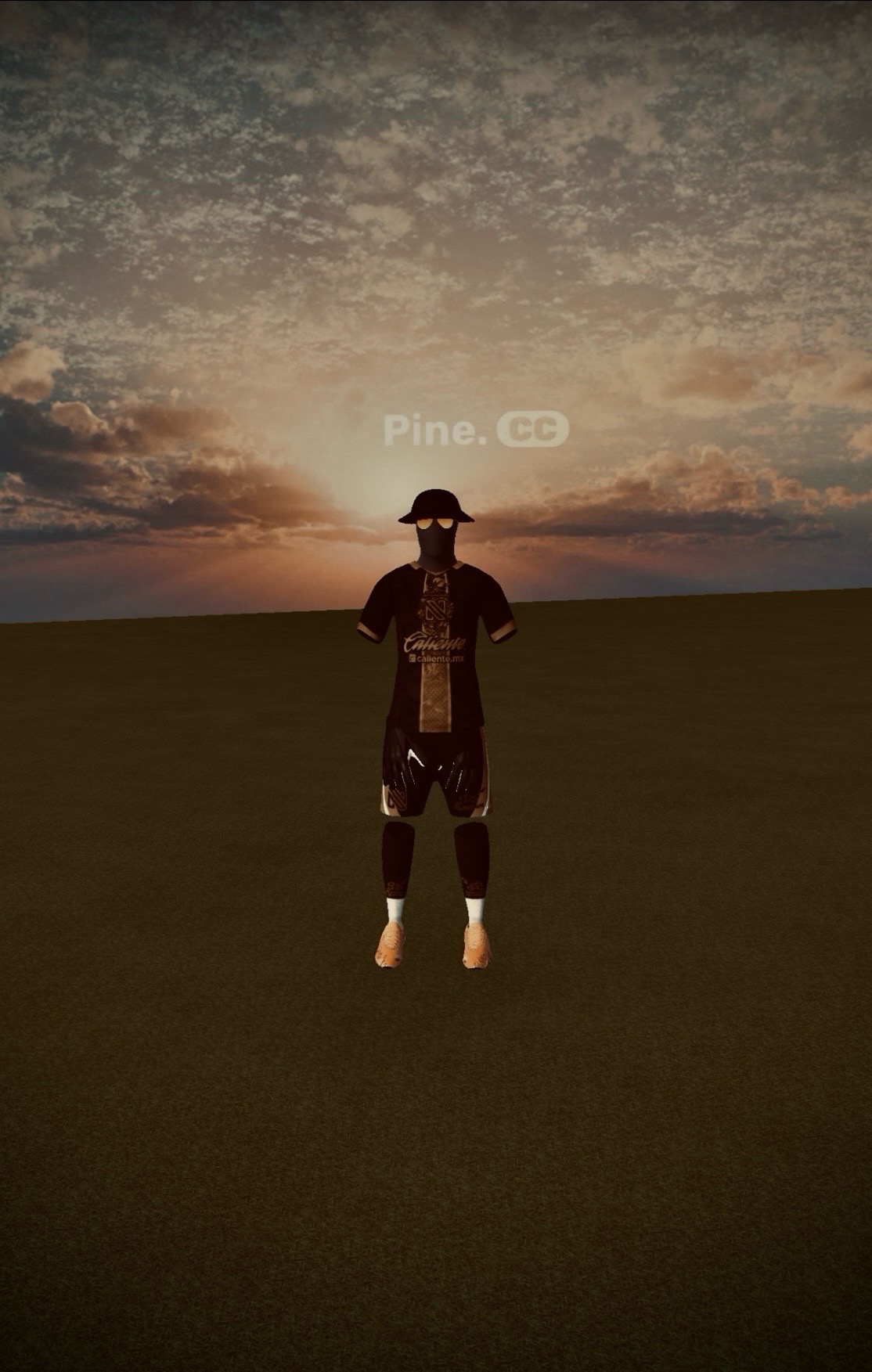 @@Pine.