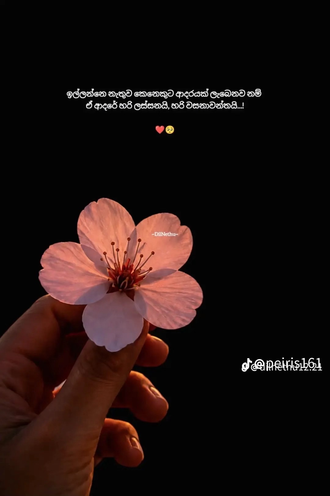 @Janeesha