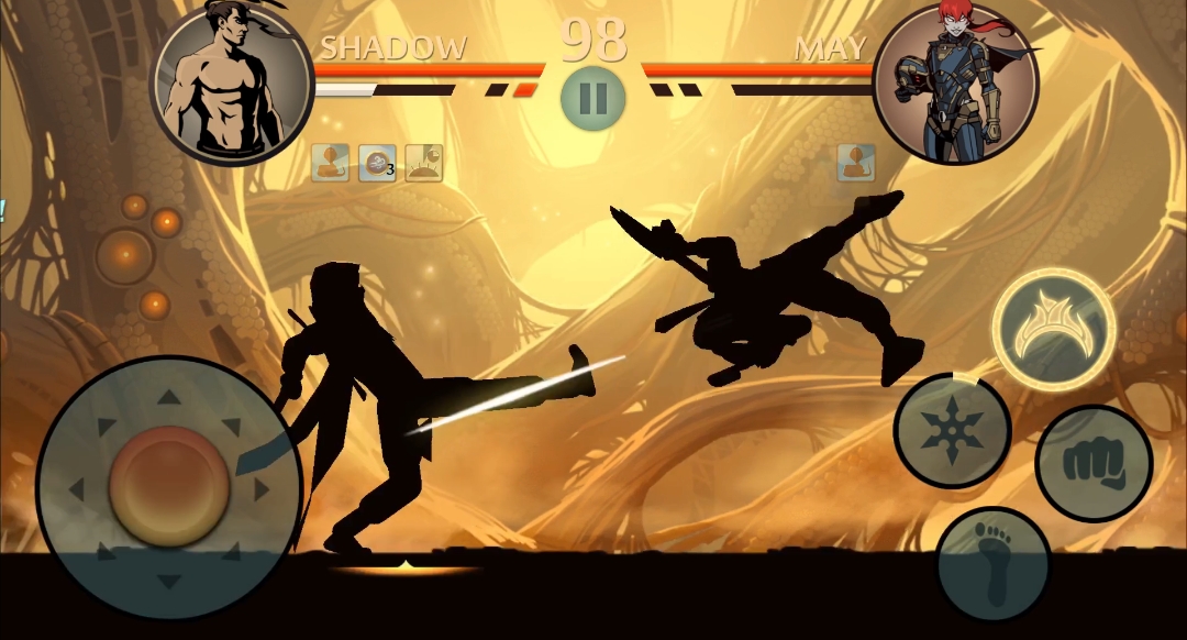 @Amir Shadow Fight