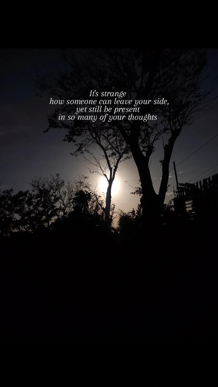 @beauty