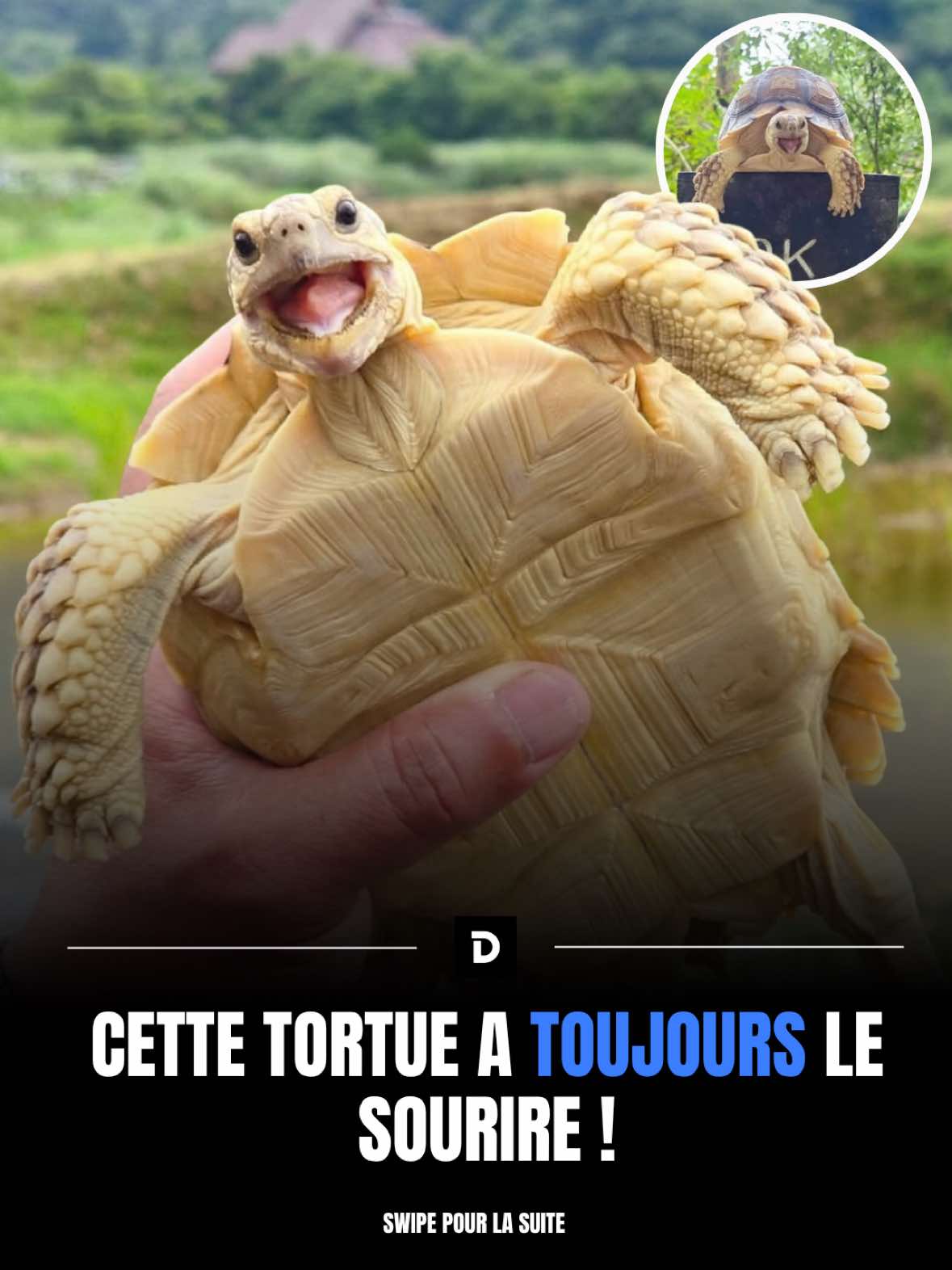 @Demotivateur