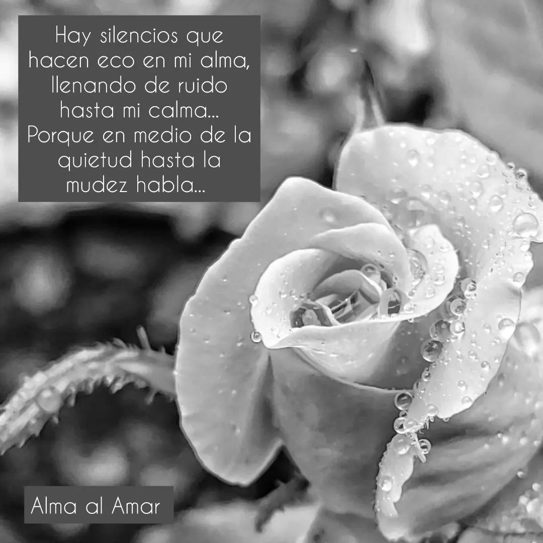 @Alma al Amar 🇨🇷