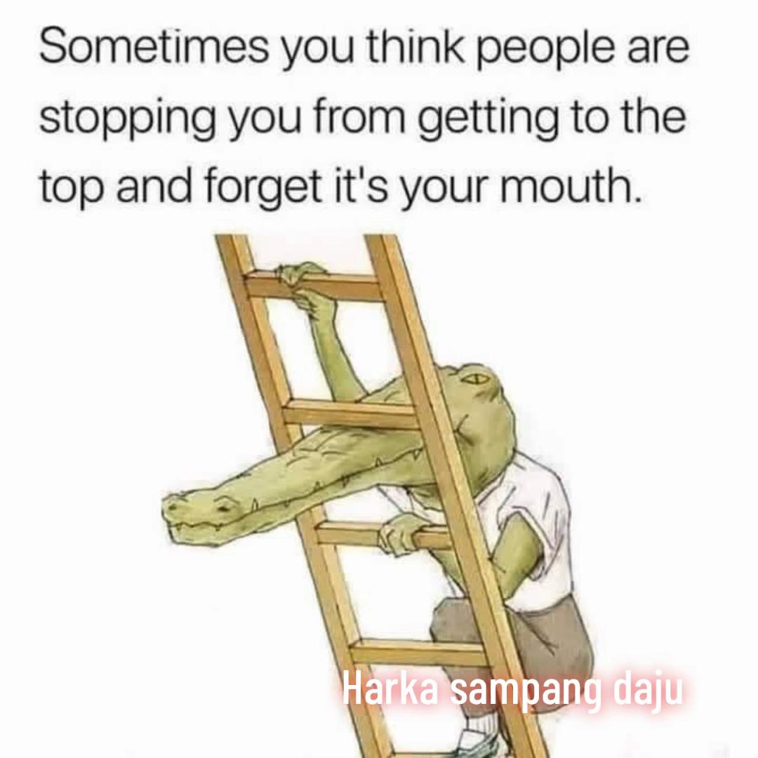 @♟ 𝔞Ⓛ𝓘รђ 卩尺αᗪℍαⓃ ✌