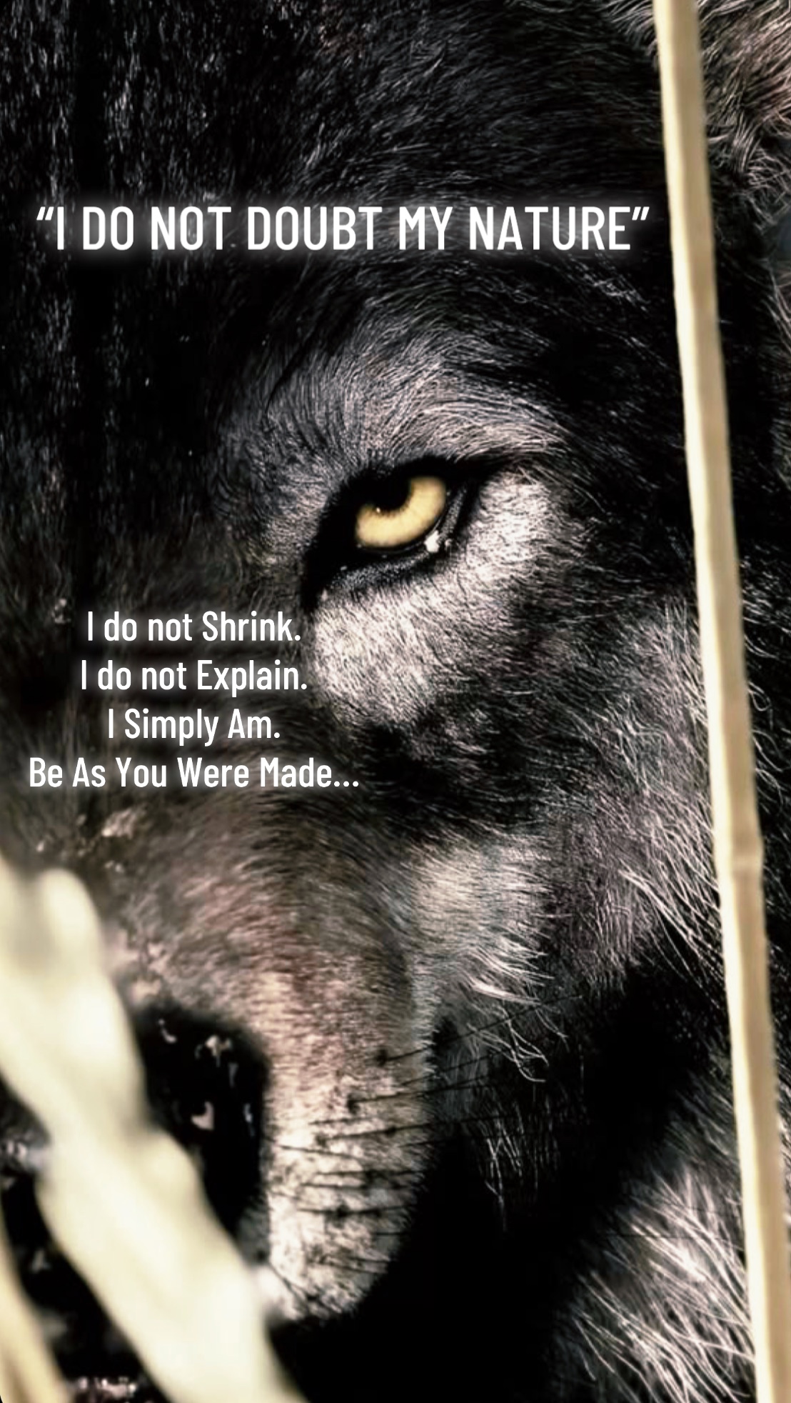 @🪬Conscious_LoneWolf🐺