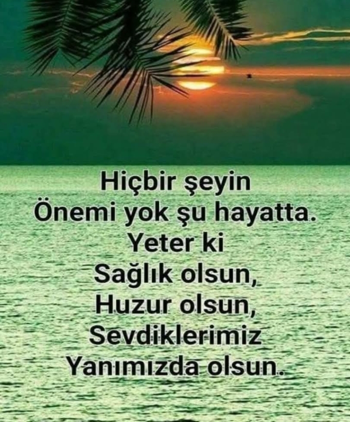 @mecnun