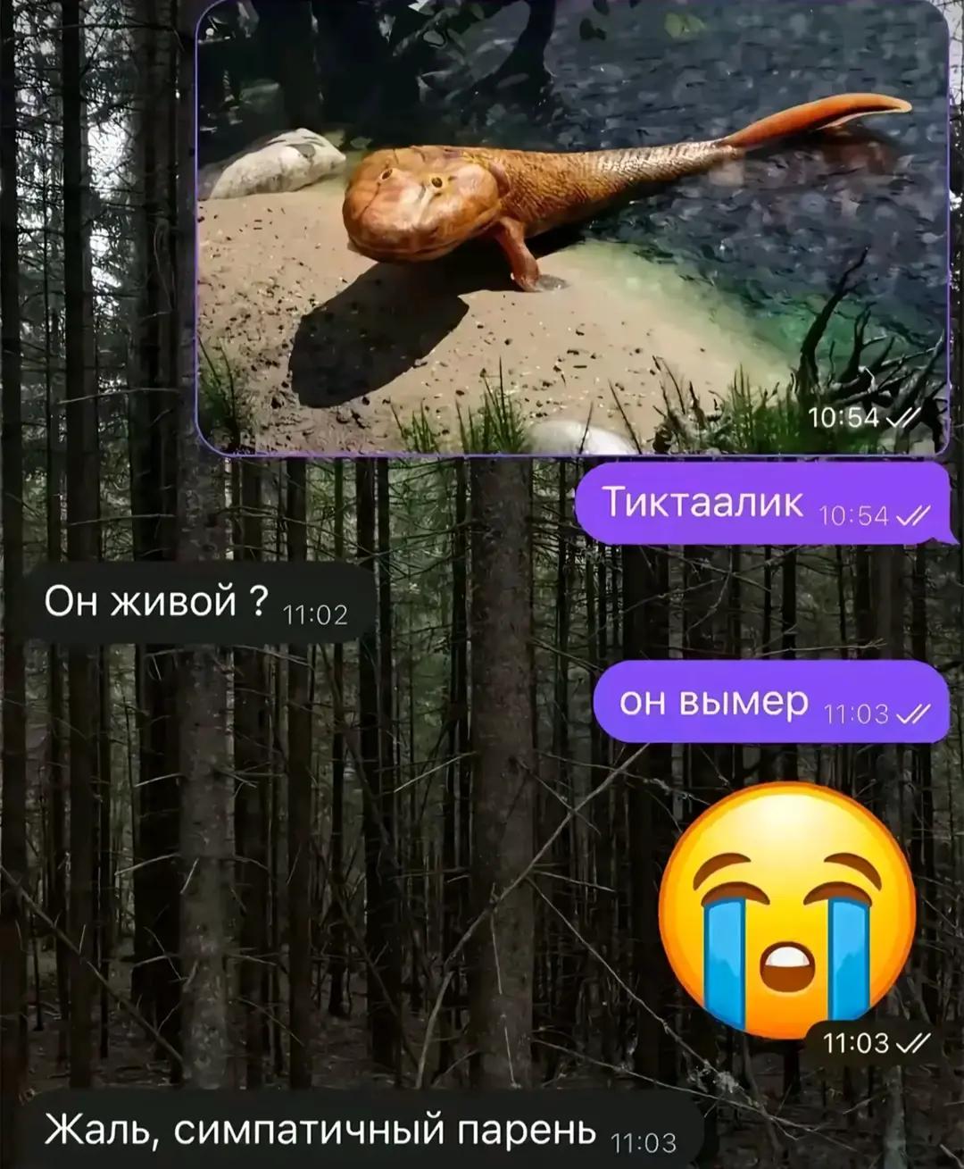 @ⲇᥲⲏьⲕᥲ🩵