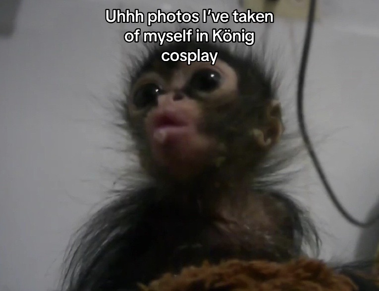 @frog
