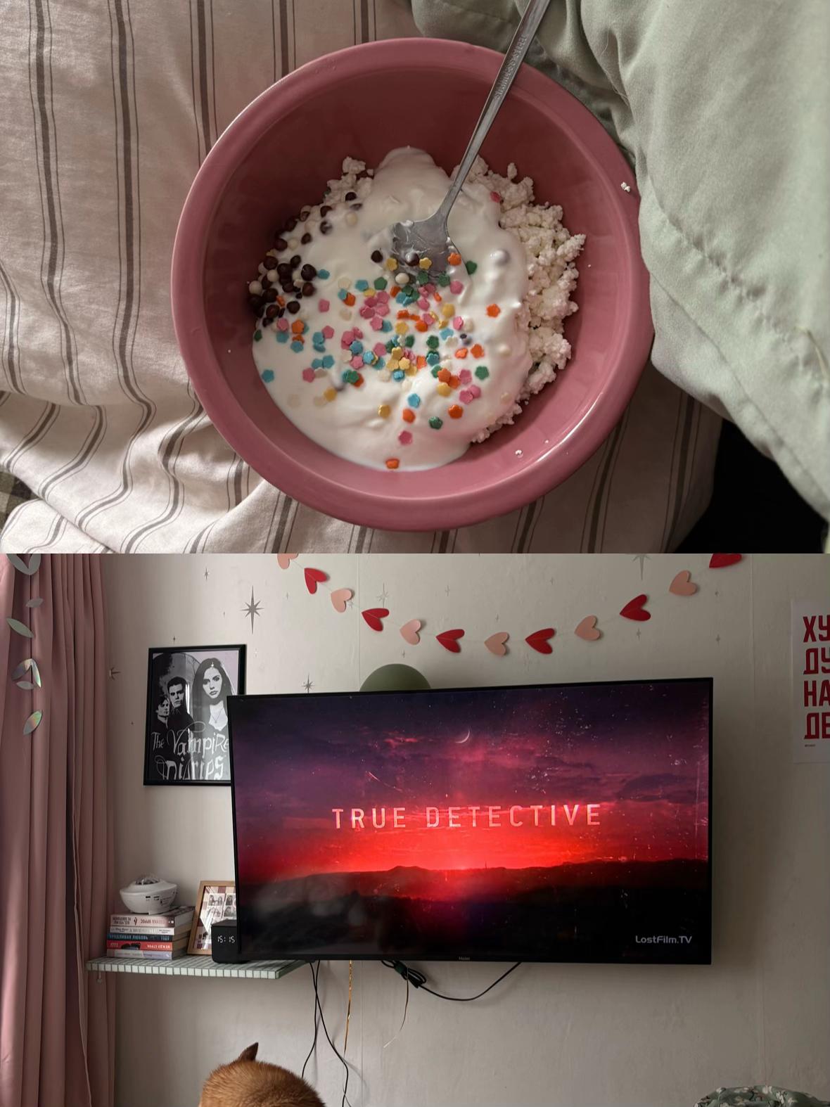 @༘⋆ the pixie diaries ྀི