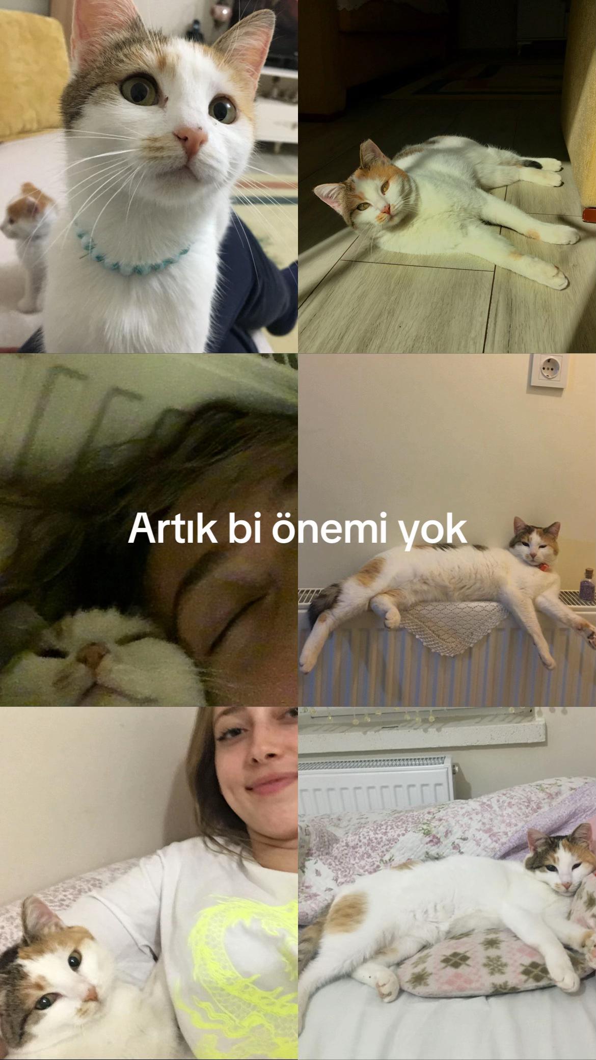 @Şevval