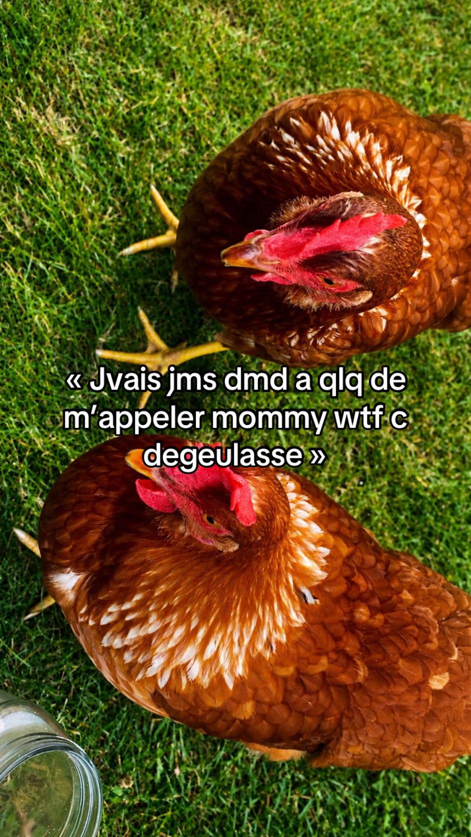 @𝑼𝒔𝒆𝒓.𝑬'🐥
