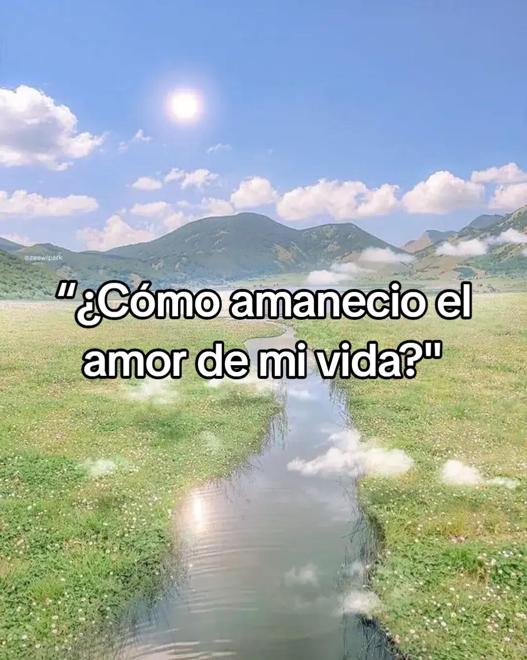 @lady
