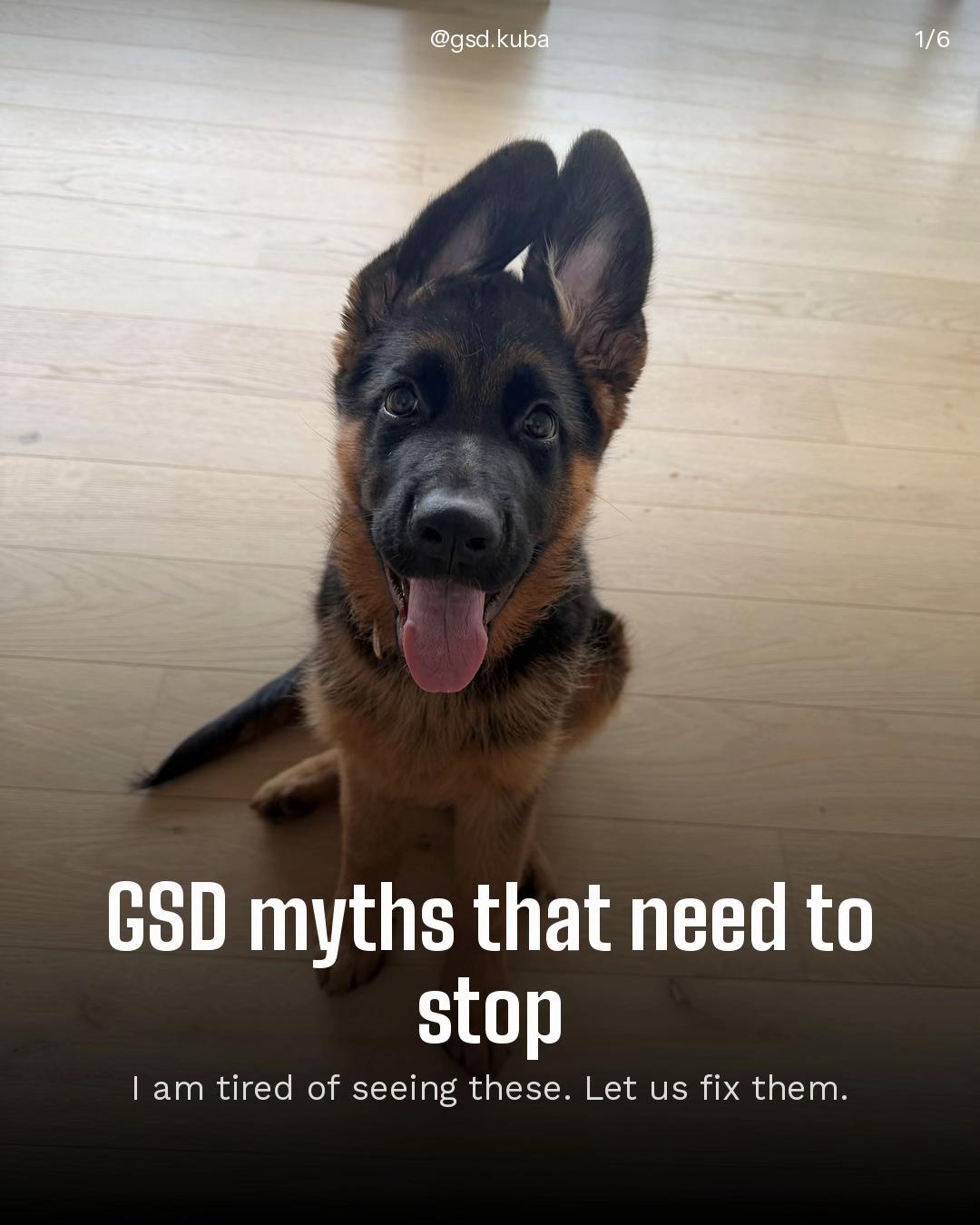 @gsd.kuba