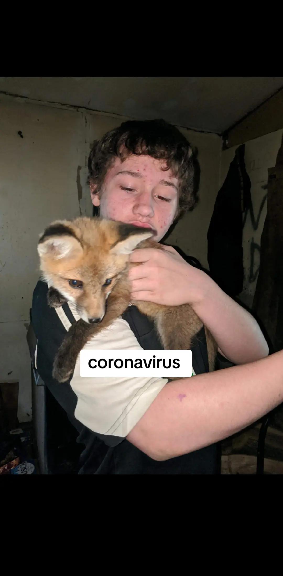 @lxDACOWxl