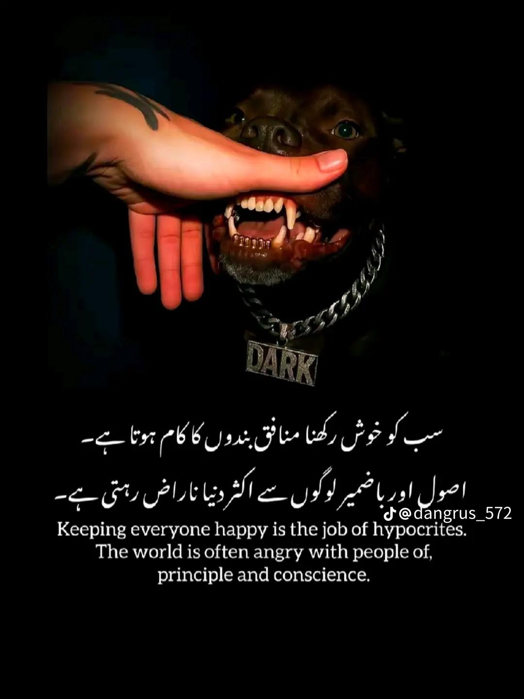 @Arslan Gujjar♠️