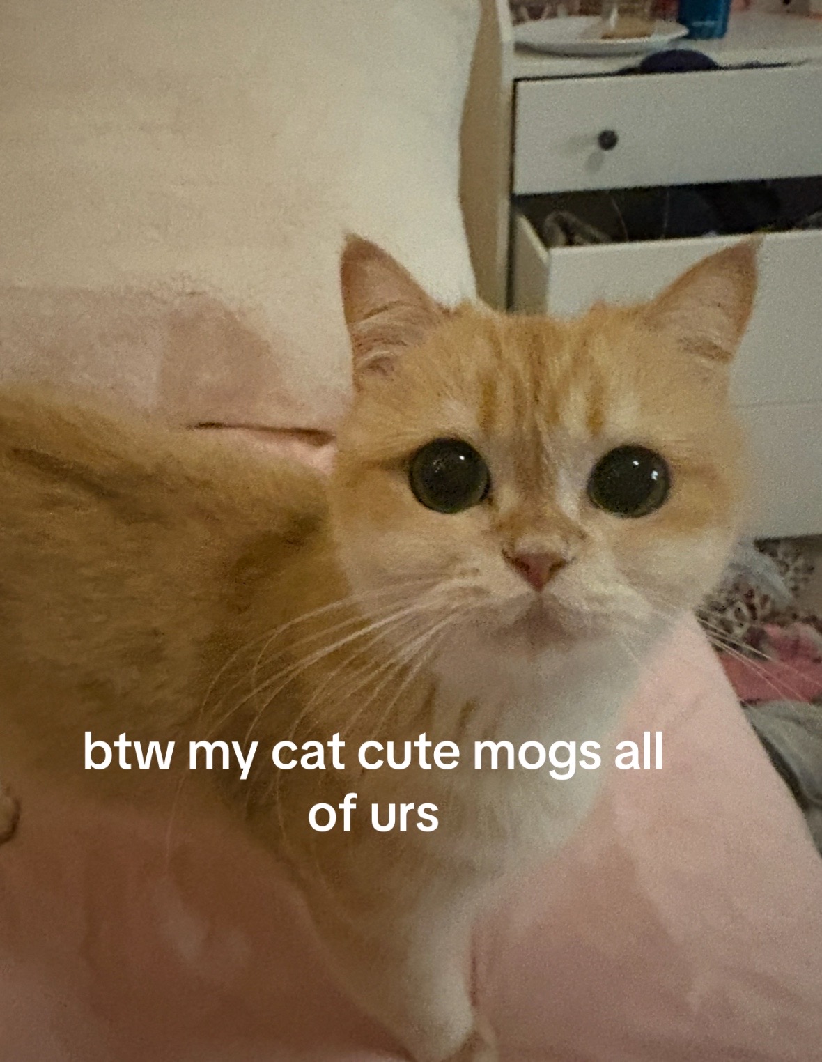 @taylor𓋹
